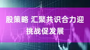 股策略 汇聚共识合力迎挑战促发展