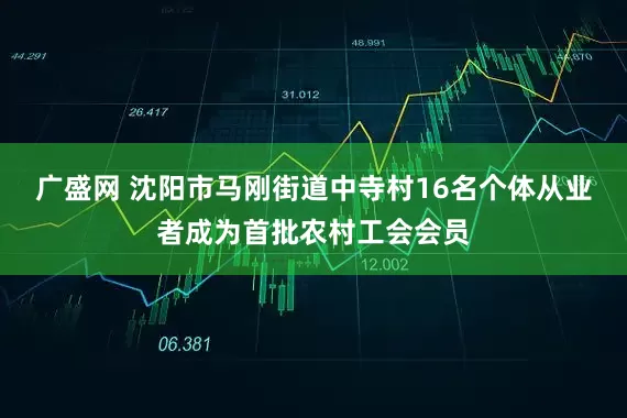 广盛网 沈阳市马刚街道中寺村16名个体从业者成为首批农村工会会员