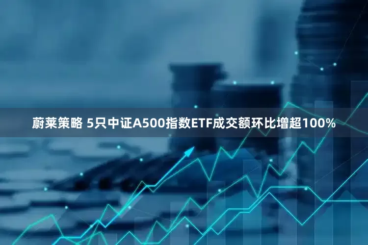蔚莱策略 5只中证A500指数ETF成交额环比增超100%