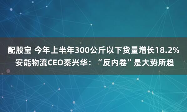 配股宝 今年上半年300公斤以下货量增长18.2% 安能物流CEO秦兴华：“反内卷”是大势所趋
